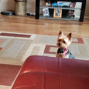 Meet your Posher, Tracy